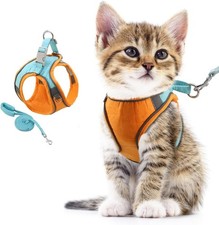 Adjustable pet harness and leash set for small animals.