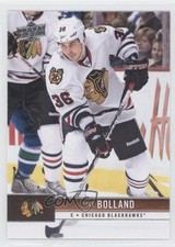 2012-13 Upper Deck Dave Bolland #34 1u6