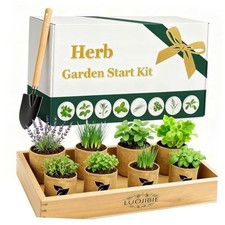 Indoor Herb Garden Start Kit - Unique Gifts for Women, Mothers Day Gifts, Easy