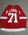 Dylan Larkin Signed Detroit Red Wings Fanatics Premium NHL Jersey Authenticated