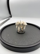 Warmachine Protectorate of Menoth Dervish Light Warjack