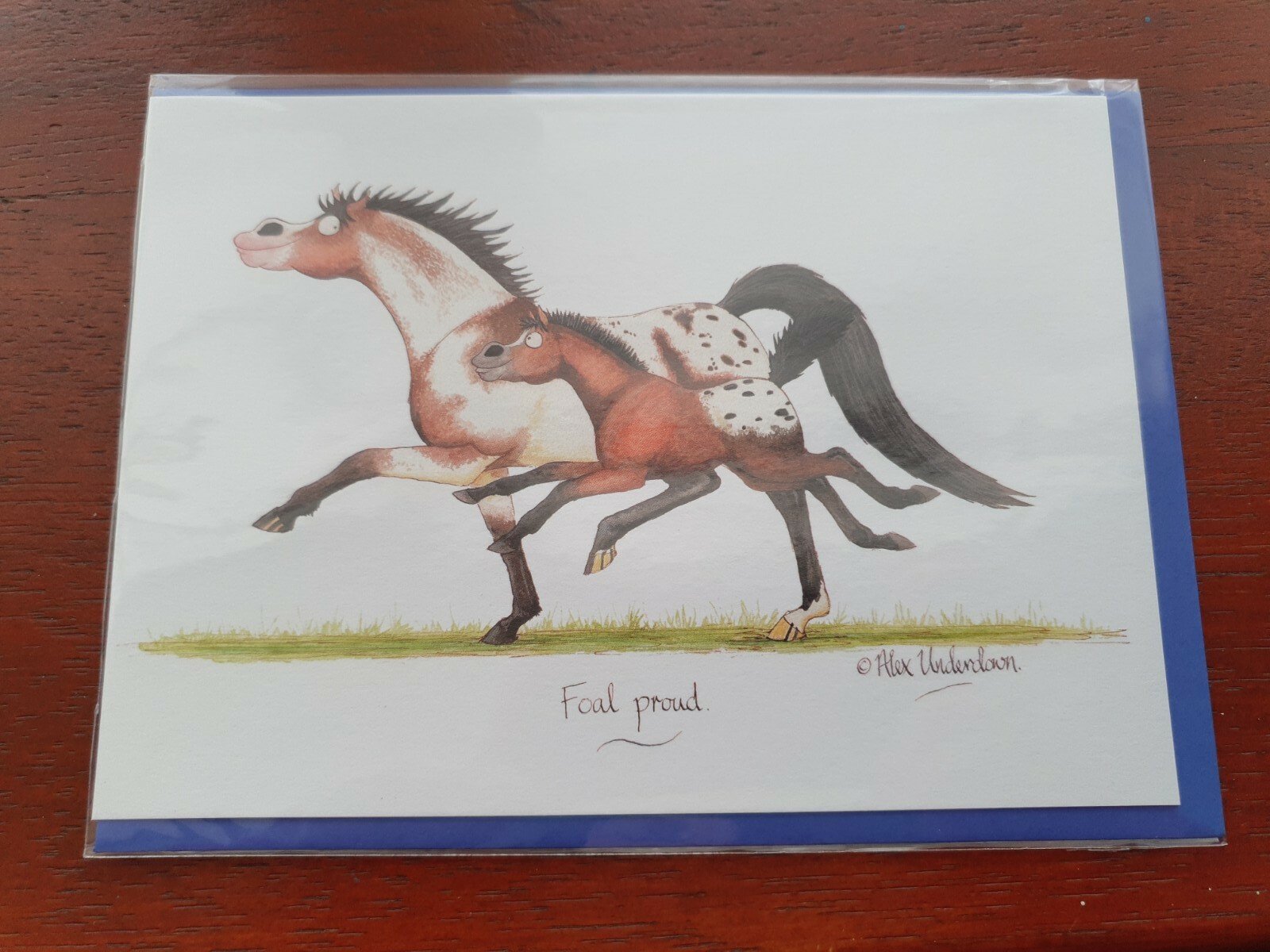 Alex Underdown Foal proud BLANK greetings card Horse funny card horses pony farm