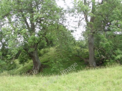 Photo 6x4 Castell Foel Allt Pilleth Gweddillion castell mwnt a beili Norm c2011