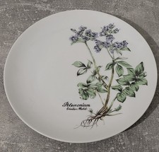 Assiette En Véritable Porcelai…