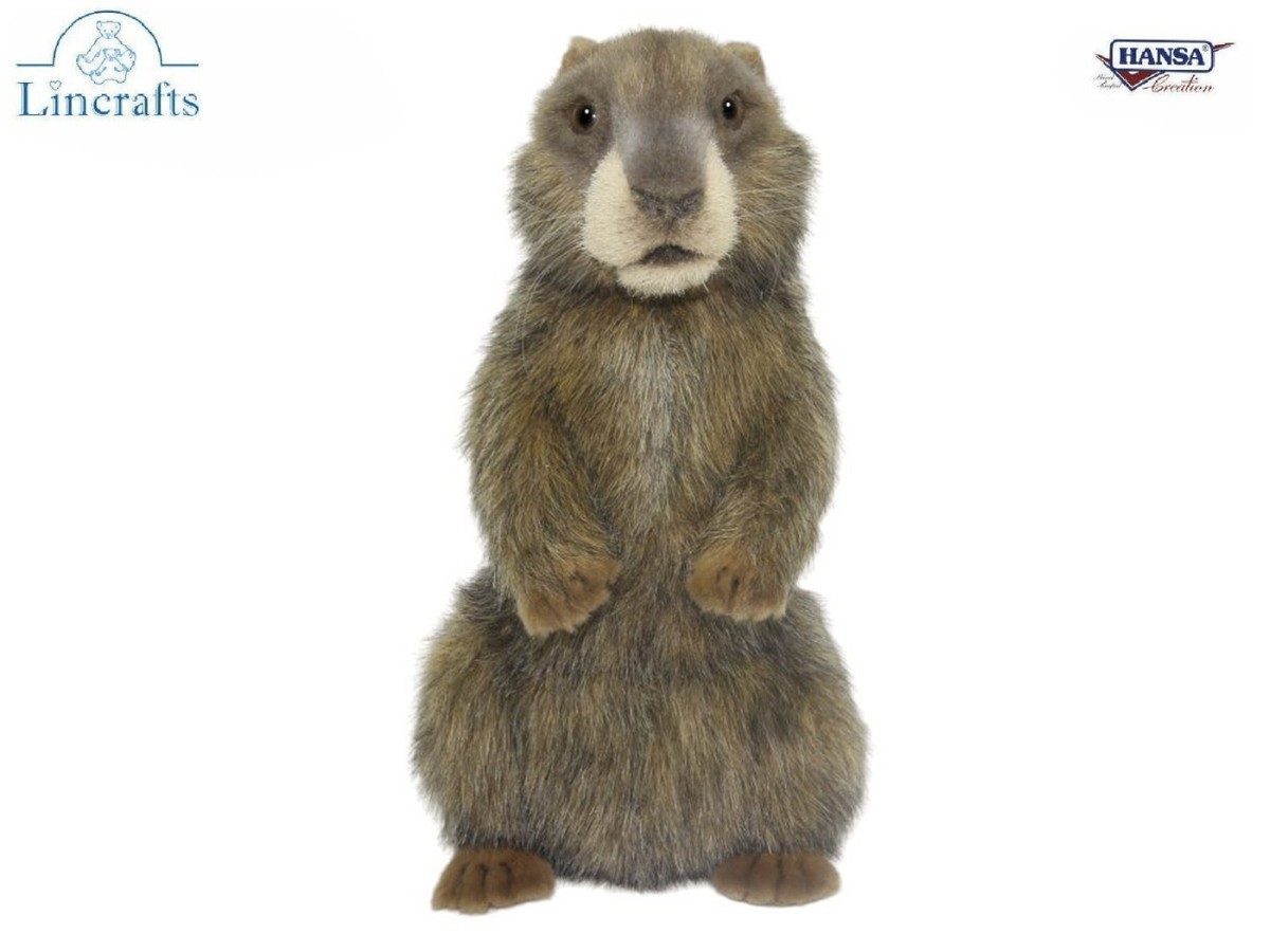 Alpine Marmot Plush Soft Toy by Hansa 8101-Brand New- Lincrafts UK