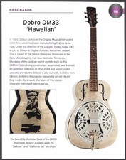 Dobro Resonator DM33 Hawaiian + Godin Multiac Steel Duet guitar history print