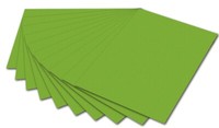 Folia 6155 Fotokarton - 50 X 70 Cm, GrasgrüN