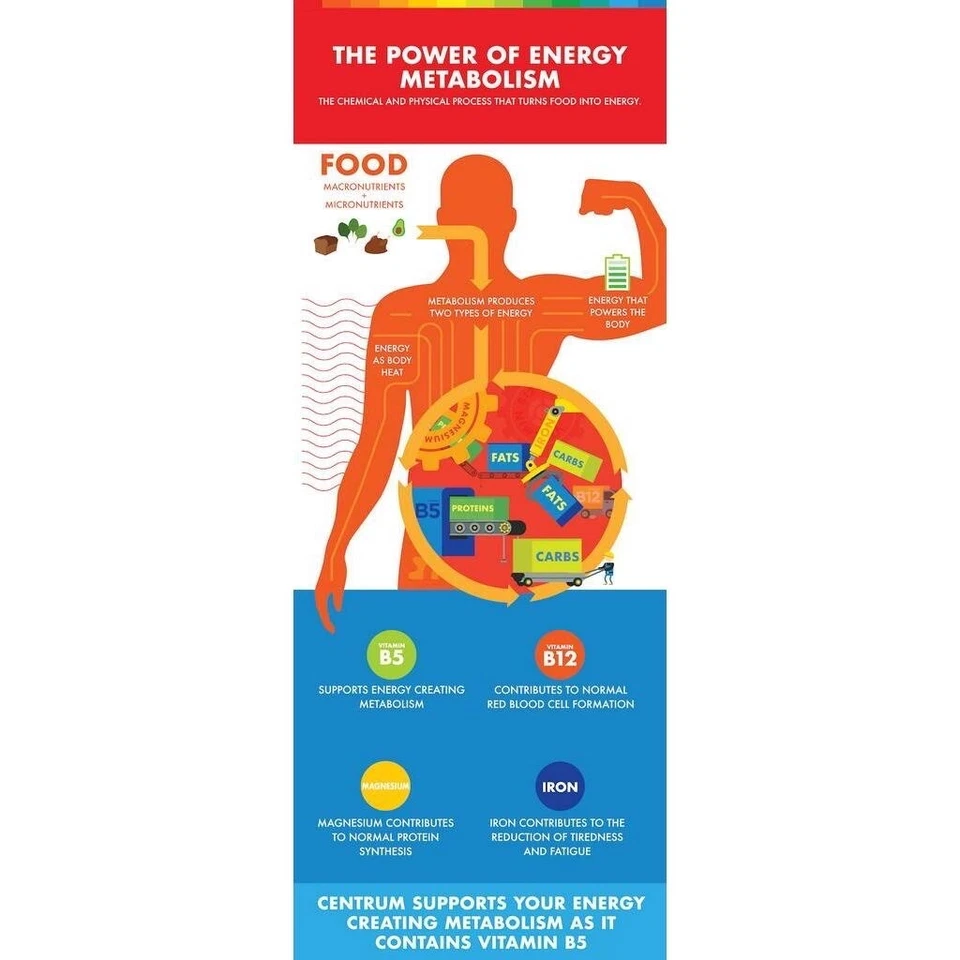 1X60's New Centrum Energy B-Vitamins and Minerals + Vitamin C & E Free Shipping - Image 4 of 4