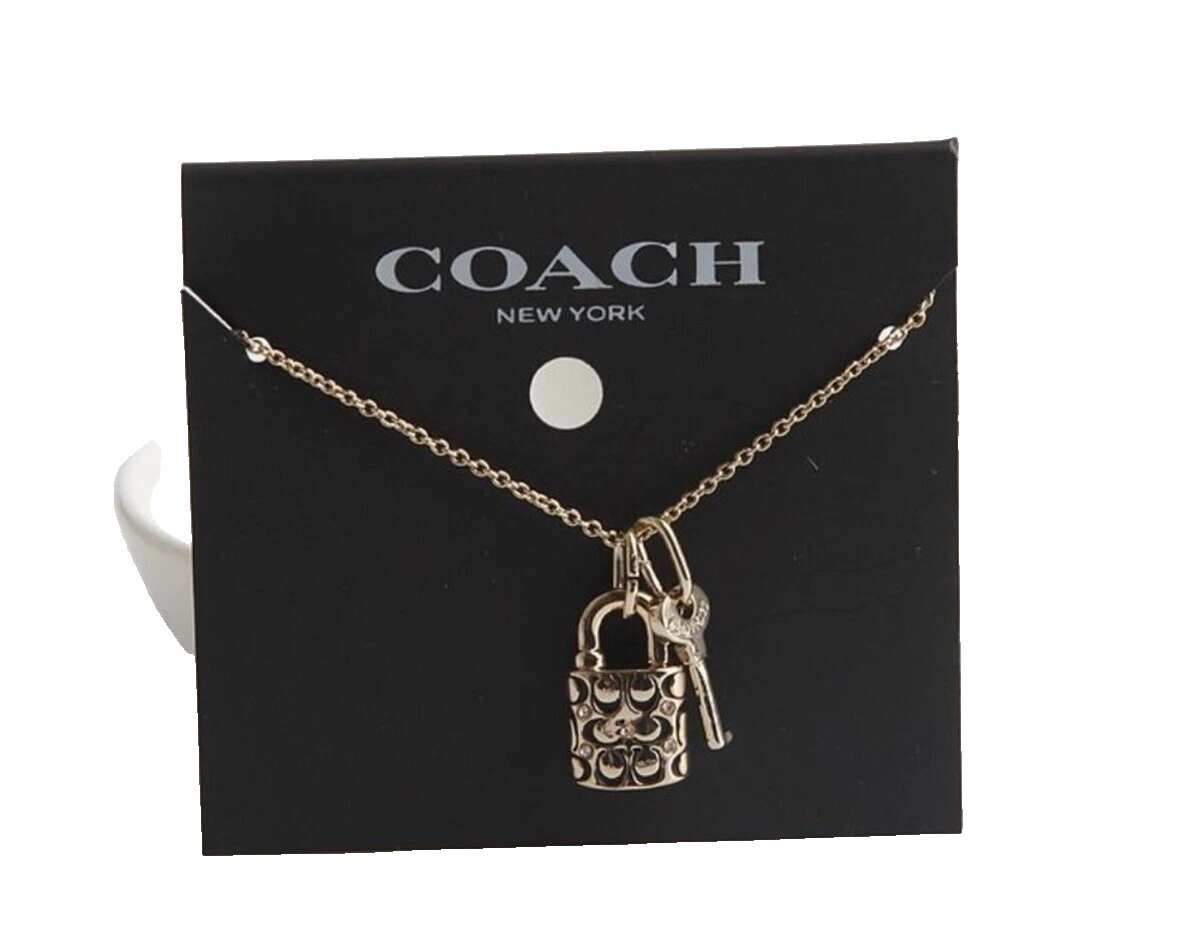 Ожерелья и кулоны Coach черные модные