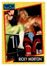 1991 Impel WCW World Championship Wrestling Trading Card Ricky Morton #101