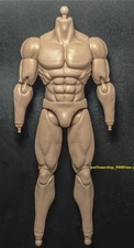 SSRTOYS 1/6 SSR01 High quality vegetarian superhuman joint movable NEW