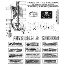 Tim Holtz Stampers Anonymous "EXAMINATION" Rubber Cling Stamp Set 2020