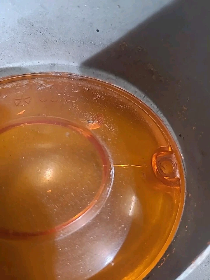 Lente de luz de estacionamiento izquierda y derecha Mopar 1970-71 Dodge Challenger Foto 4 de 4