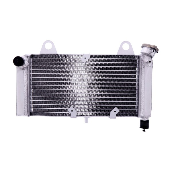 KüHler Passend FüR Yamaha MT-03 660 N Bj. 2006-2014-image