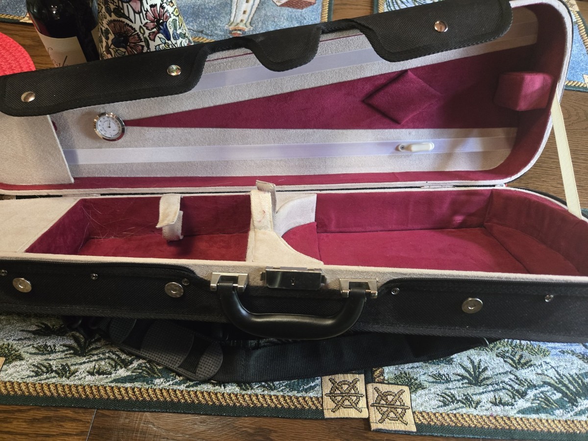 Andreas Eastman VL80 4/4 Anno 2022 バイオリン 弓 良好 中古 M8312015