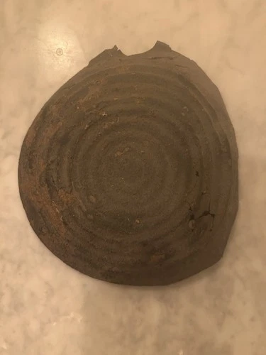 Dug Civil War Bullseye Canteen Half