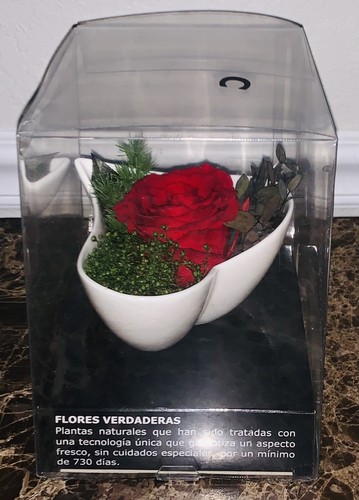 Smeraldino Preserved Flower Red Rose With White Heart Shaped Bowl Vase NEW - Picture 2 of 4