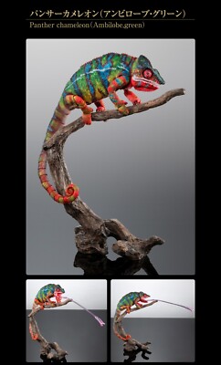 IKIMONO DAIZUKAN PREMIUM Panther Chameleon (Ambilobe, green) | eBay