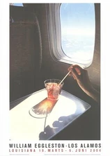 WILLIAM EGGLESTON Drink 23.5" x 16.5" Offset Lithograph 2018 Realism