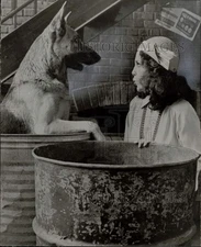 Press Photo Actor Madelyne Kahn and dog - sap69931