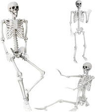5.4FT Life Size Halloween Skeleton Full Body Movable Joints Indoor Outdoor Decor