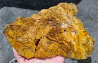 rawk11: Hampton Butte Petrified Wood Lg thin slab-Brecciated Jasper+Agate! — photo 6