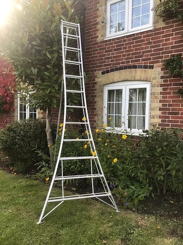 Aluminium Tripod Ladder 1 adj leg, Gardening, Hedging, Fruit Picking, FREE FEET - Picture 26 of 26