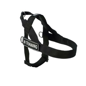 newfoundland no pull harness