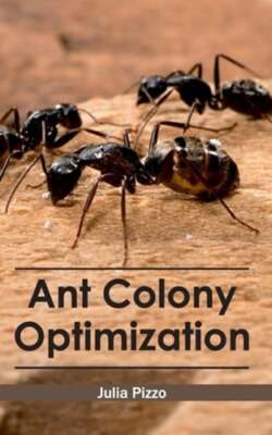 Ant Colony Optimization by Julia Pizzo: New