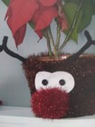 Bild 6 von 10