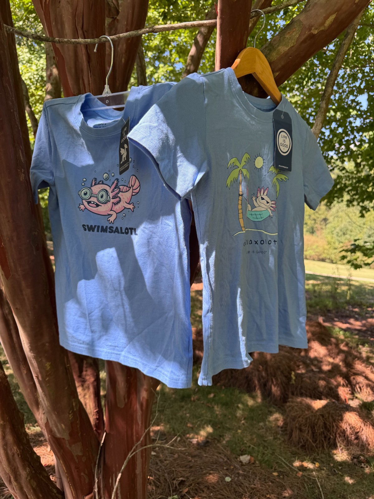 NWT Life Is Good Axolotl Shirts Lot of 2 Kids Youth Medium M Graphic Tee Blue