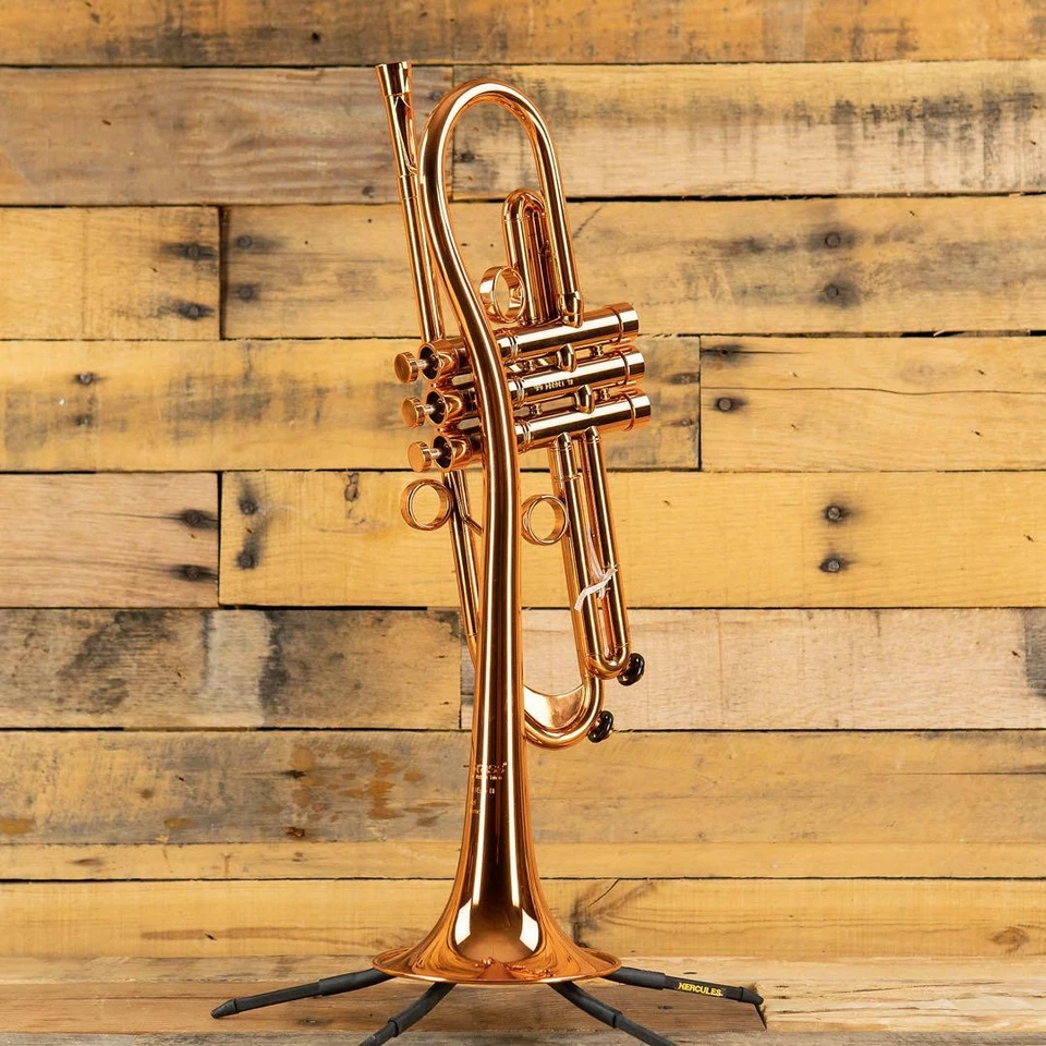 CarolBrass Baro modelo II post pandemia RR CTR-5280L-GLT Foto 2 de 3