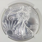 2018-P US Uncirculated Silver Eagle "FDOI" -1 oz .999 Fine Silver-NGC MS70