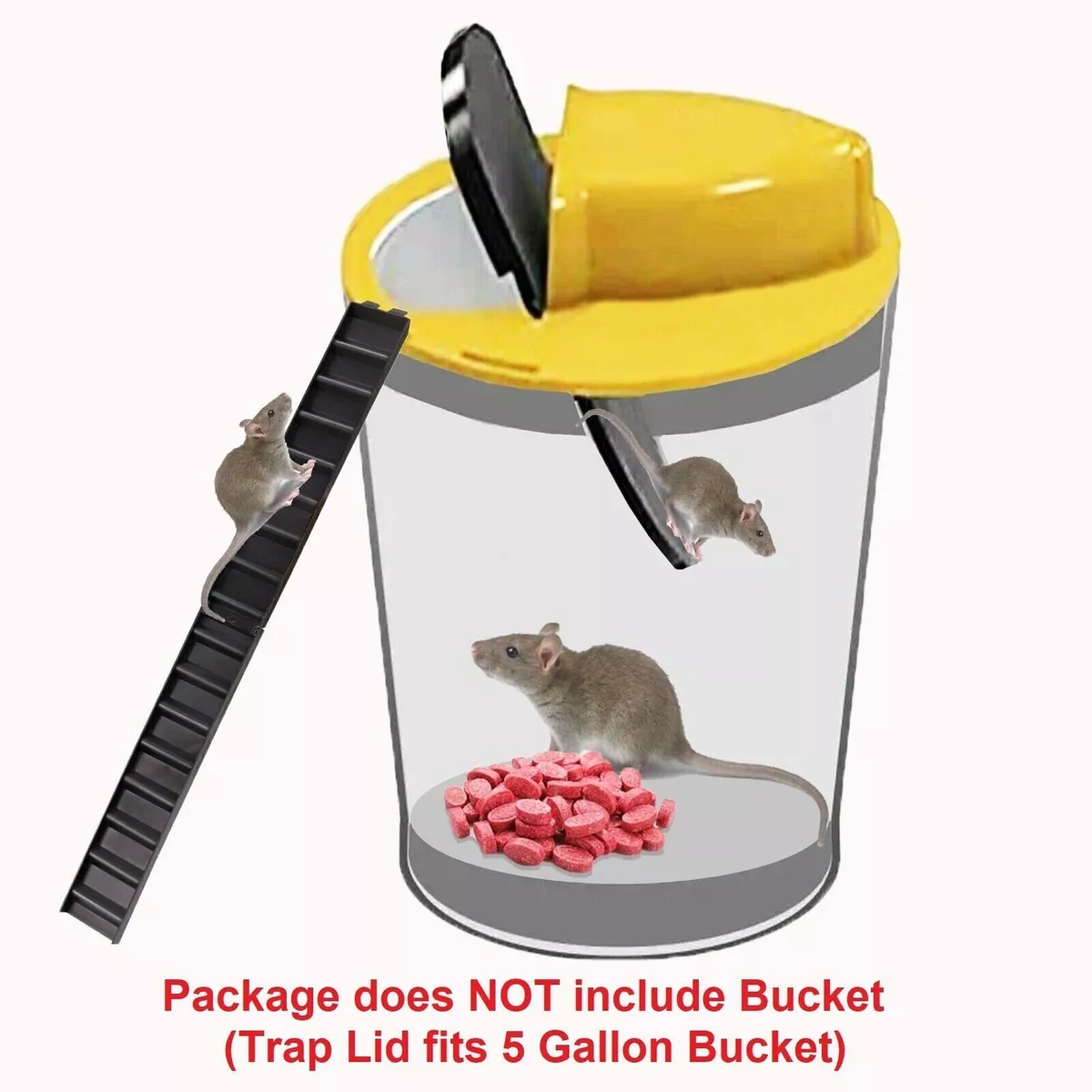 Disposable Cup Mouse Rat/Trap 