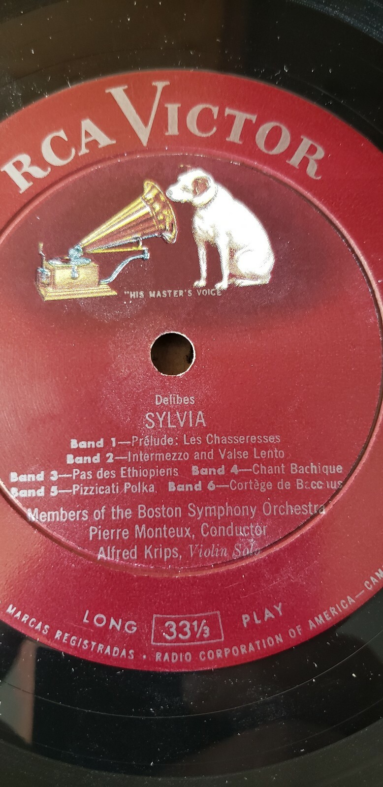 Picture 5 of 12