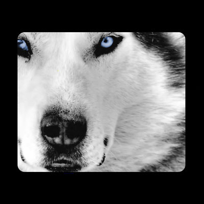 White Wolf Mouse Pad wolves arctic Free Shipping New gift zoo animal P016