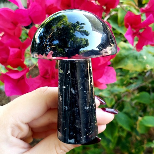 Shungite orgone resin mushroom natural Crystal Healing Larger Gemstone - Picture 5 of 6