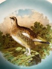 Vintage Carl Tielsch Altwasser Hand Painted porcelain Wall Plate. 10” Diameter — photo 3