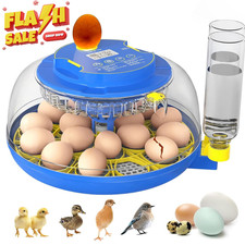 18 Egg Incubator with Automatic Egg Turning and Humidity Control Incubators