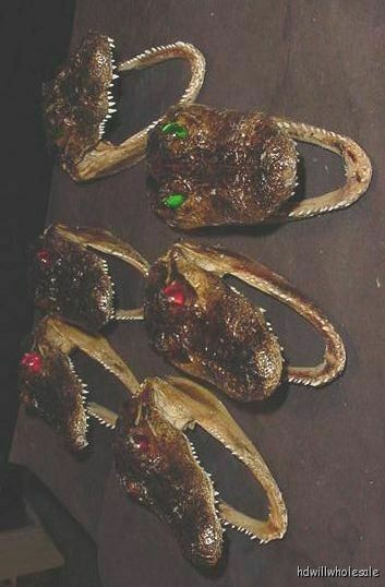 WHOLESALE LOT OF 6 GATOR HEADS florida taxidermy teeth real alligator crocodile