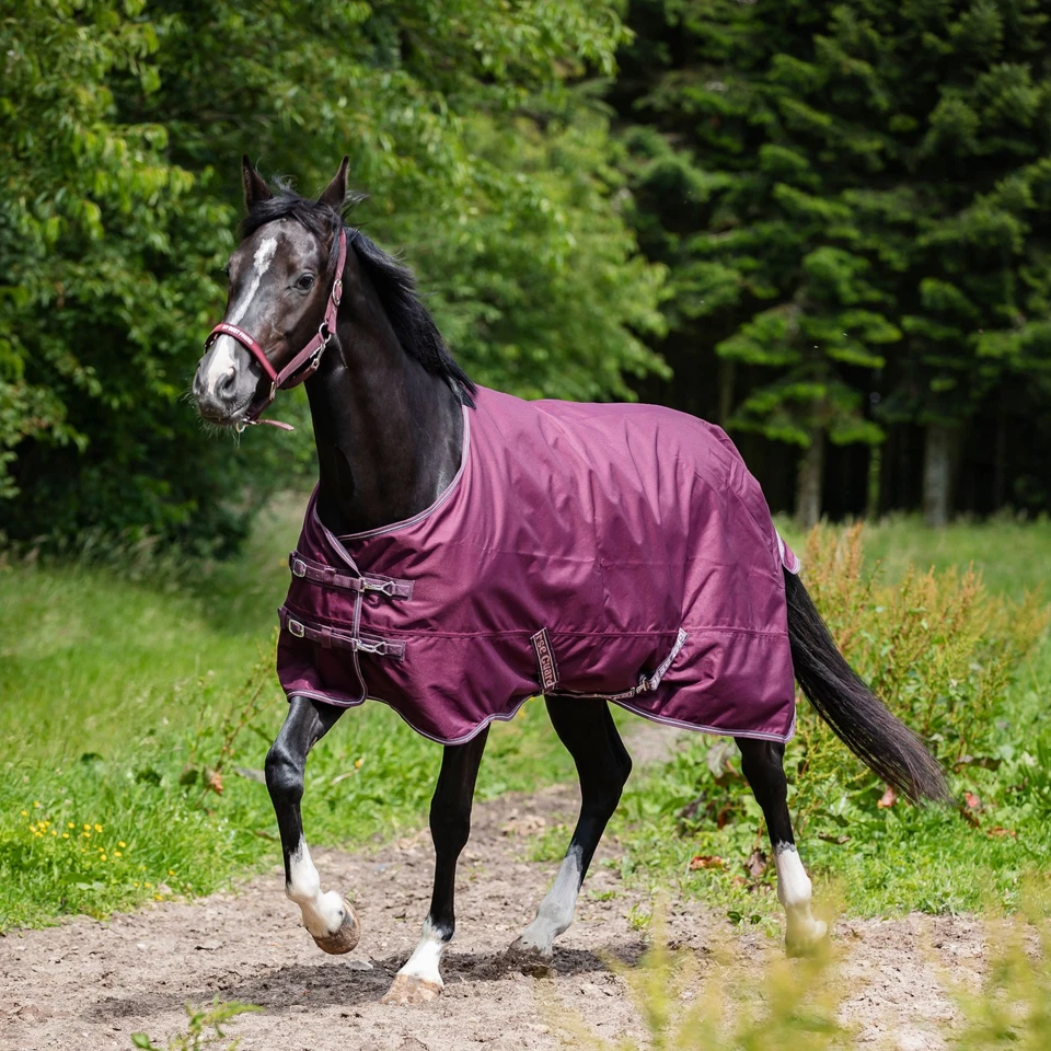 Horse Guard Turnout Pferdedecke Landon, 120D, 0 g - pflaume - 165 cm Weidedecke