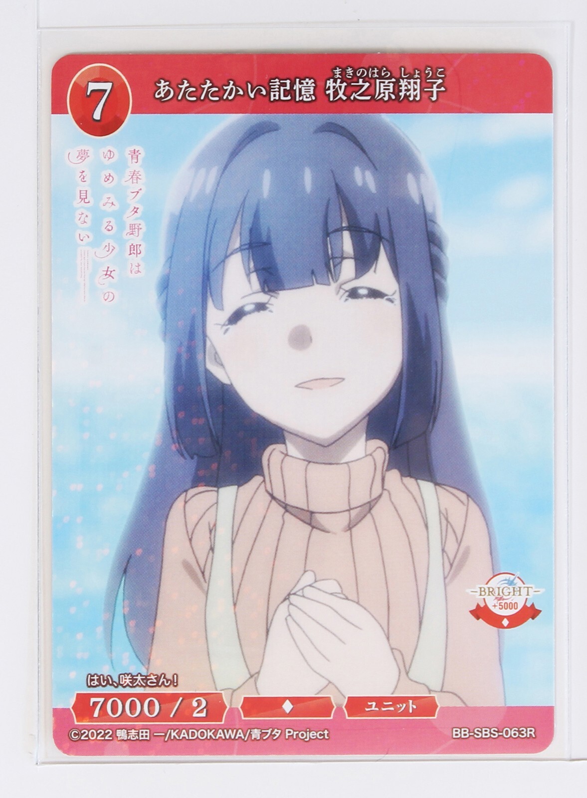 Shoko Makinohara, Warm Memories(R)- Build Divide Rascal Does Not Dream ...