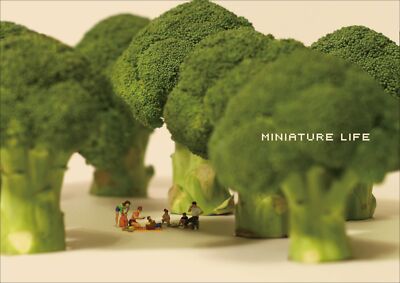 MINIATURE LIFE Tatsuya Tanaka Miniature photographer Art Collection Book Japan