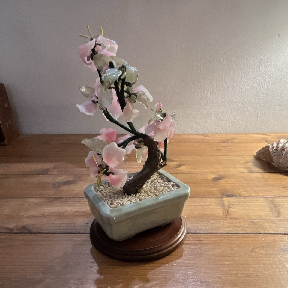 Sakura Tree Making Chinese Cherry Blossom Bonsai Tree Celadon Pot on Wooden Base VGC | eBay UK