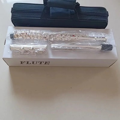 Professional 211SL Silvering Flute C Tuning and E-Key Silver Flute with case