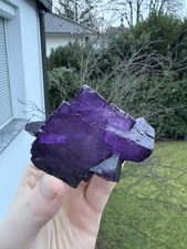 Fluorit Muzquiz Mexiko Mineralien Mineraliensammlung Schön Selten Alt