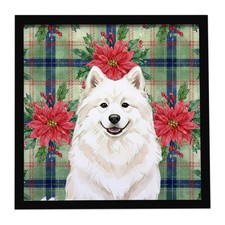 Poinsettas de Noël samoyède crème encadrée impression métal WDK8798MFP88