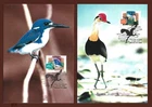 1997 AUSTRALIA " WETLAND BIRDS  " ~ SET OF 4 MAXI CARDS ~