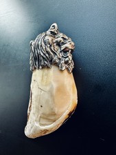 Charivari Jagdschmuck Trachtenschmuck Zahn Löwe Wildschwein Hauer 800