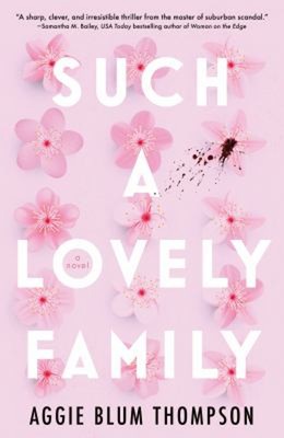Such a Lovely Family Paperback Aggie Blum Thompson